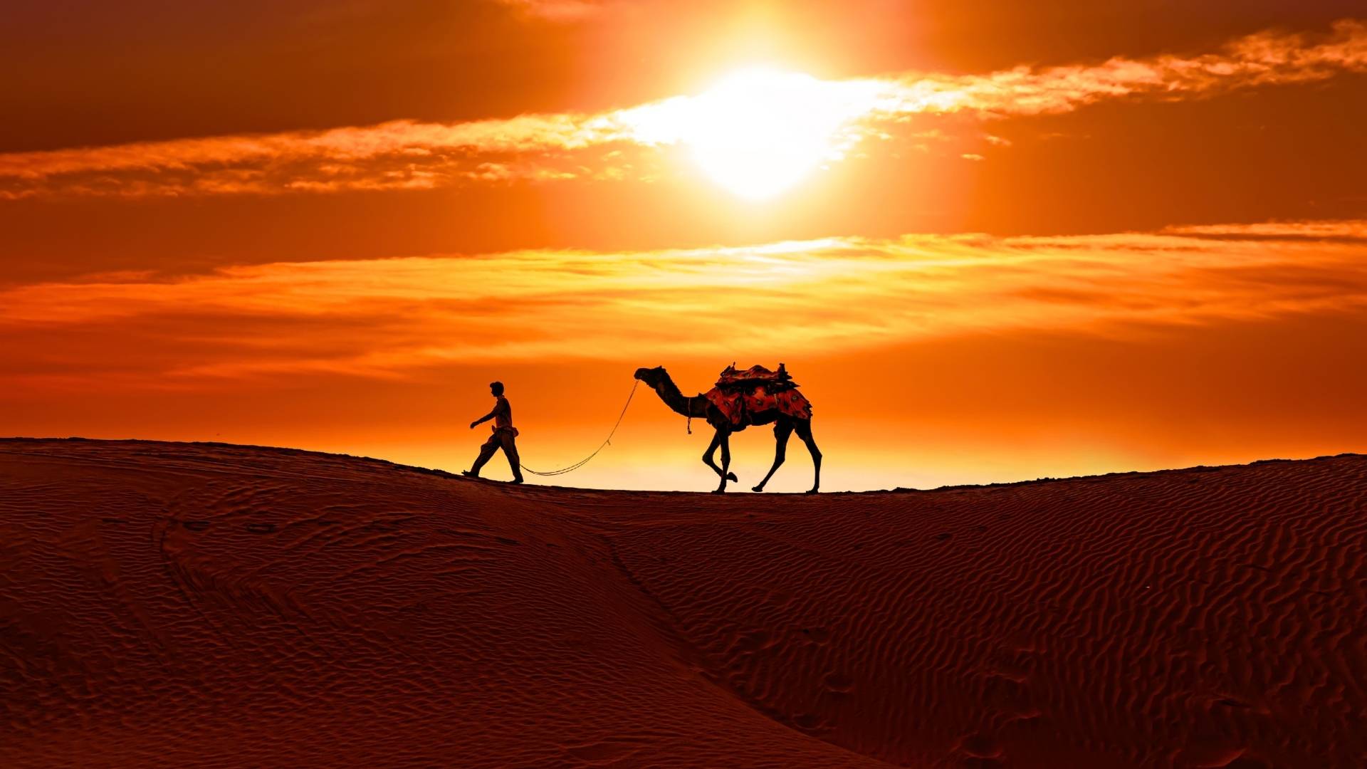 Camel safari in Jaisalmer desert