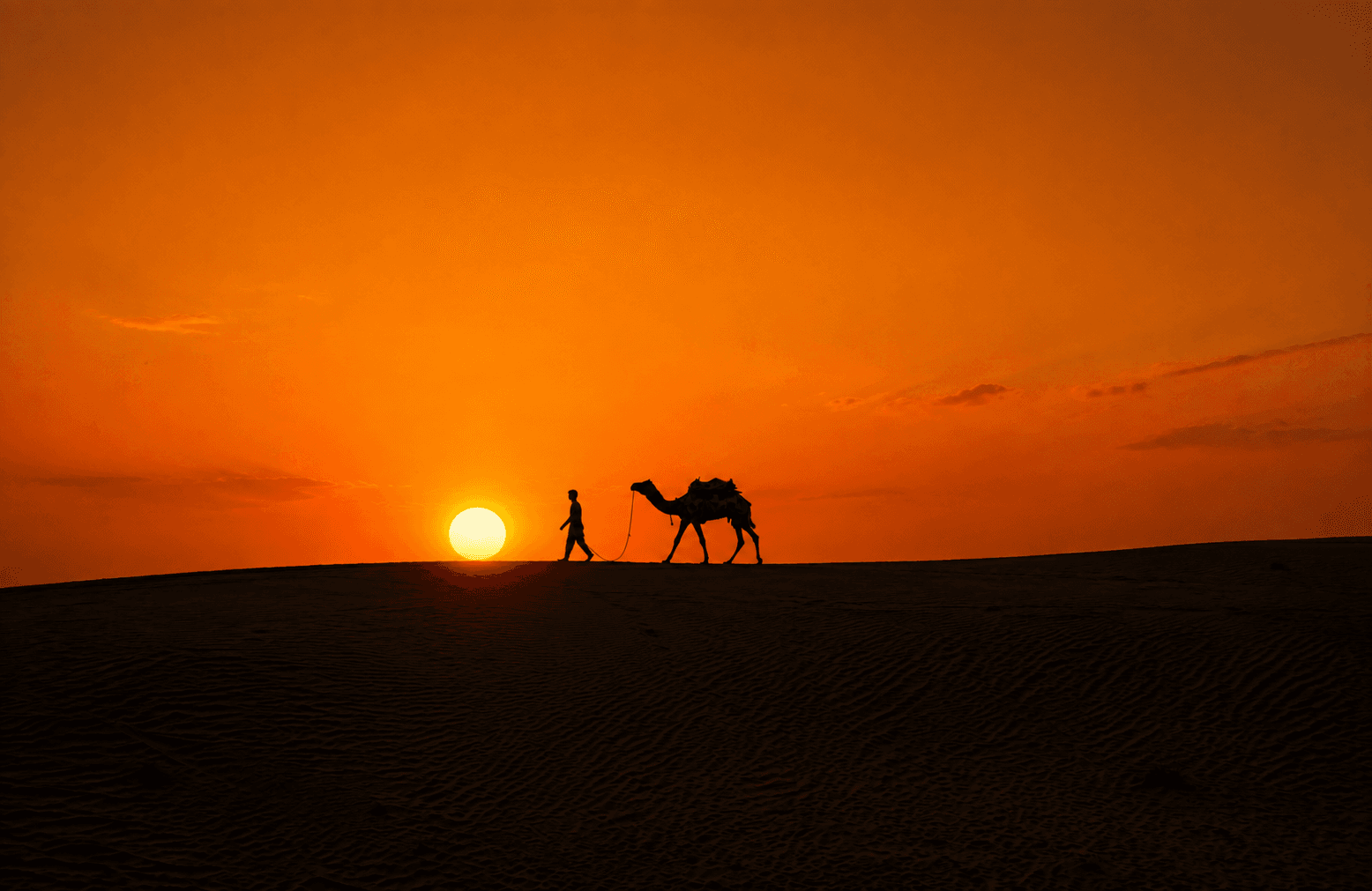 Silhouette of a person leading a camel across desert sand dunes at sunset